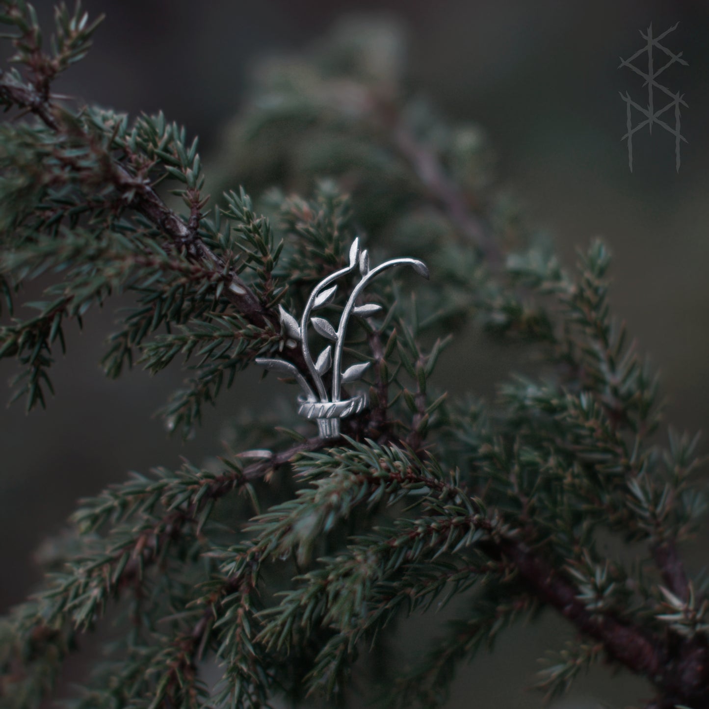 DRYAD Ear Cuff